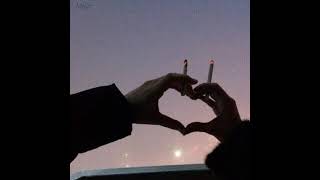 Tavenchi - Spotlight