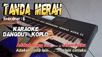 Tanda merah ( Evi tamala) - Karaoke dangdut koplo