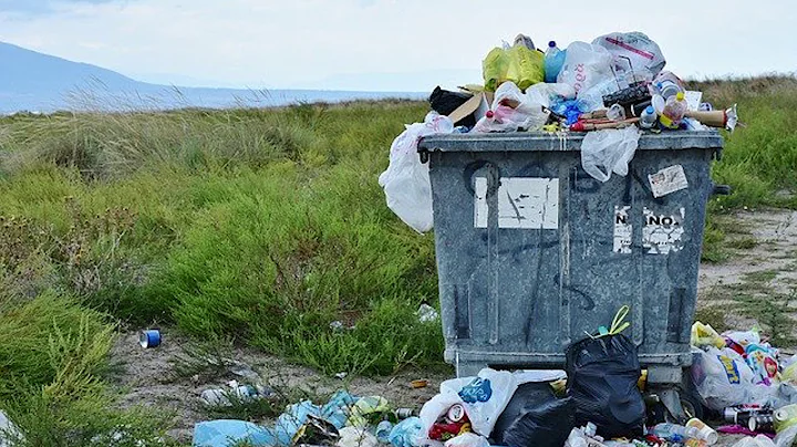 Single Use Plastic Ban