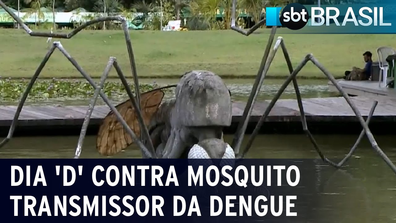 Ministério da Saúde faz dia de conscientização sobre a dengue | SBT Brasil (19/11/22)