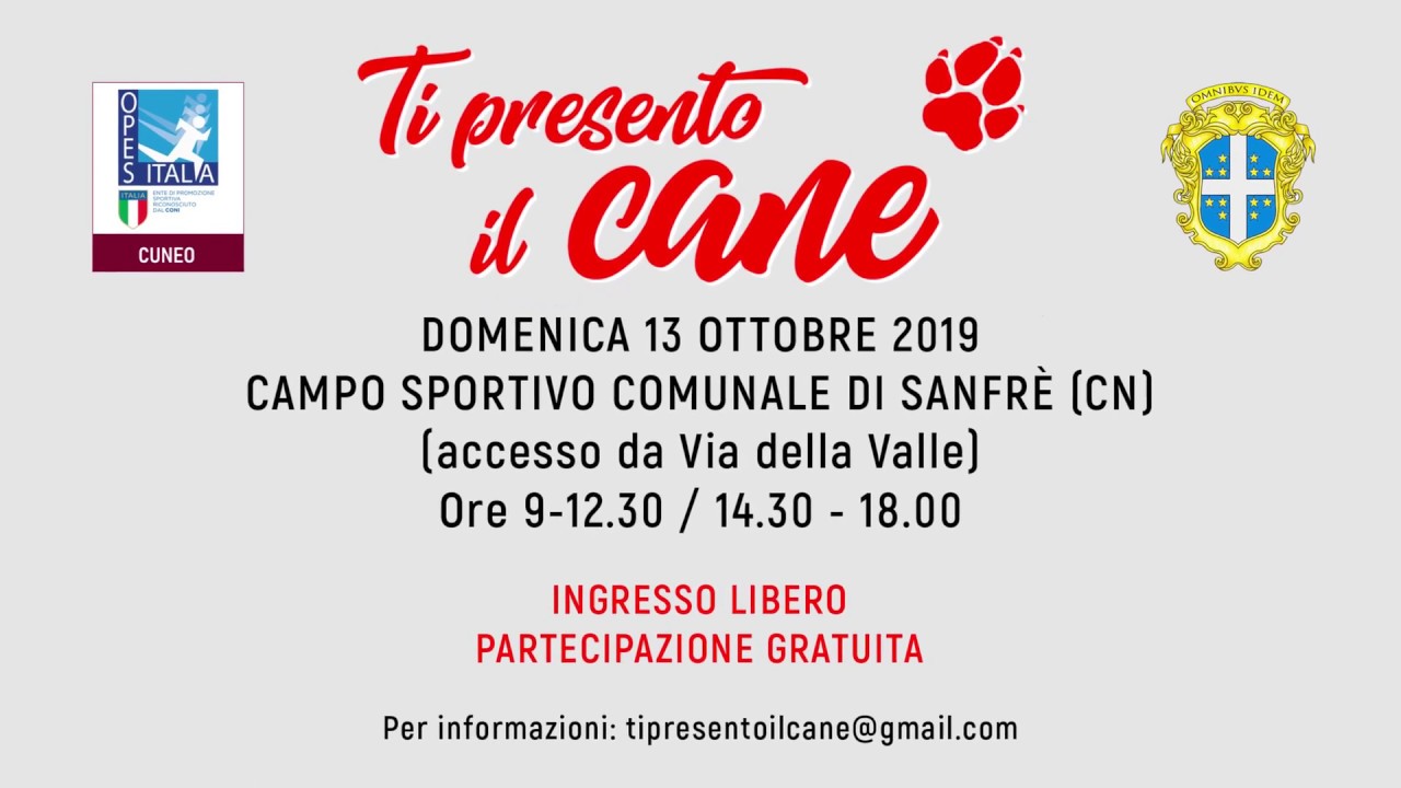 Il primo evento di Ti presento il cane - 13/10/2019 - YouTube