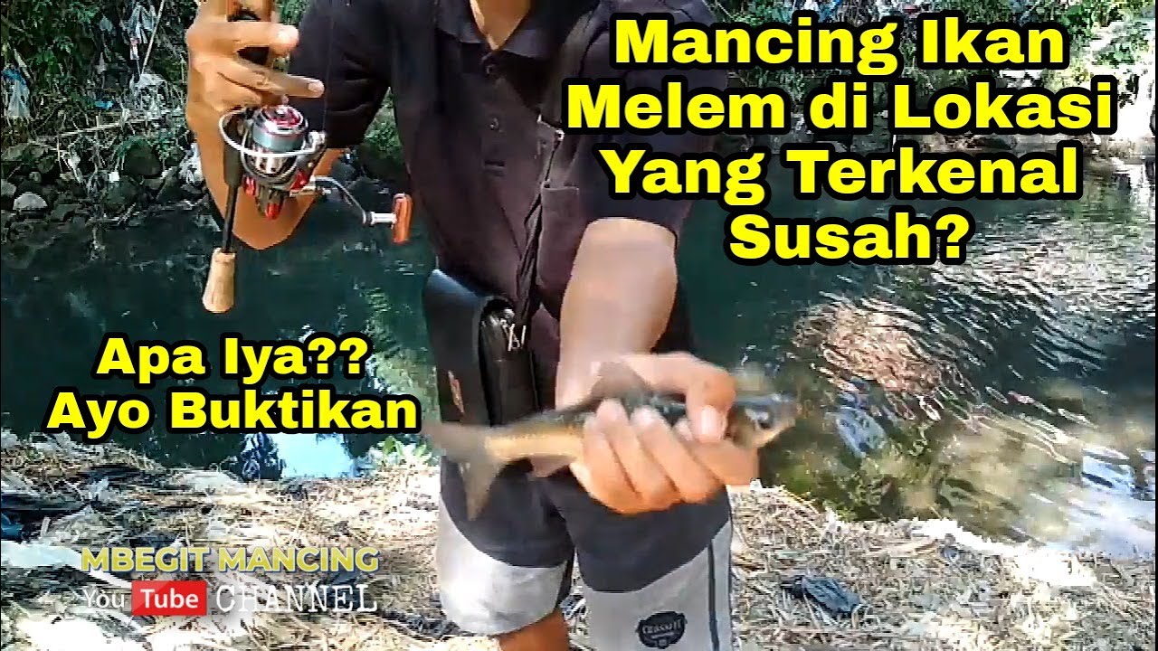 Spot Mancing Ikan Belanak