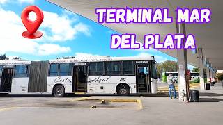 Así es adentro de la estación de micros en Mar del Plata