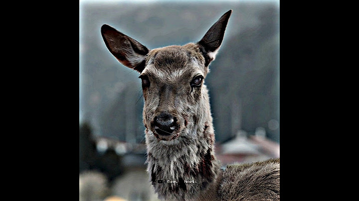 zombie deer 🦌 | ft. NextRo Anatomy ✨ | Train to Busan | #shorts