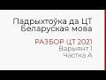 РАЗБОР ЦТ 2021 / БЕЛАРУСКАЯ МОВА