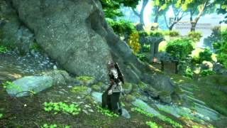 Dragon Age Inquisition Cassandra unique armor