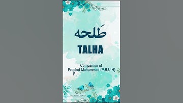 🌹Talha🌹 | Name Meaning Status || Urdu e Hind Official |
