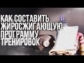 Как Составить Жиросжигающую Тренировку / похудение / жиросжигание / сушка