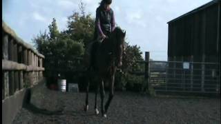 Bud Flatwork May 2012