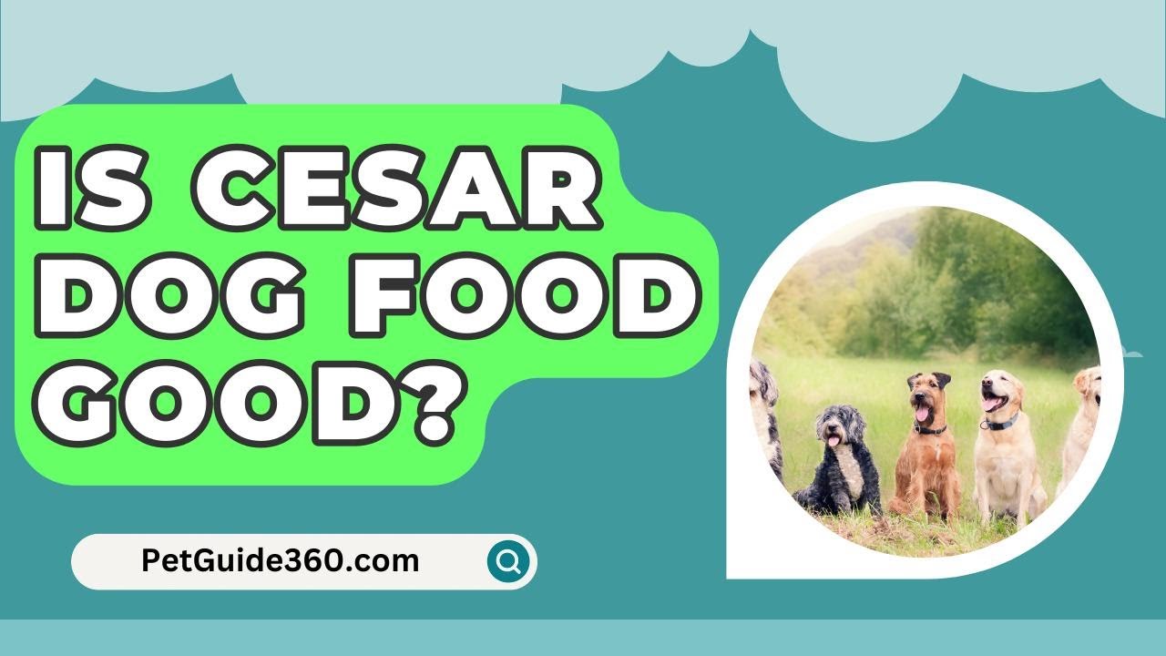Is Cesar Dog Food Good? - PetGuide360.com