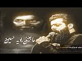 حاجيني بوية حسين ملا مجتبى الكعبي الذاكر احمد الحيدري ستوريات شور 