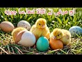 Mind Blowing Creatures Hatching From THESE Eggs?!🐣🐣🐤
