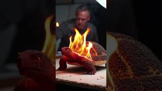 Matchstick art + fire experiment #matchstickart #fireexperiments #satisfying #oddlysatisfying