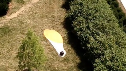Maple Seed-Inspired Airdrop Delivery | Auto-Rotating | NO PARACHUTE NEEDED!  #shorts