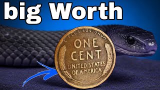 Rare Lincoln Wheat Pennies Worth a Fortune! Top 5 Coins That Could Make You Rich”