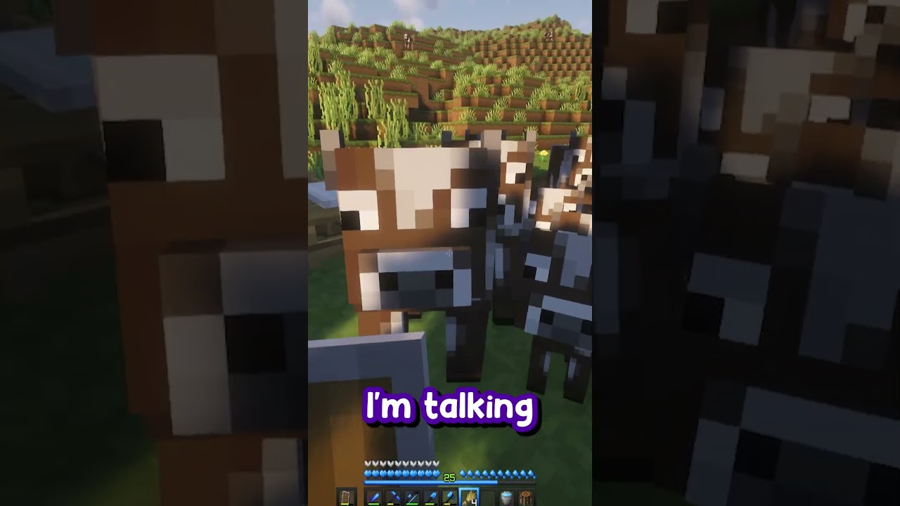 This is NOT how I expected my stream to start