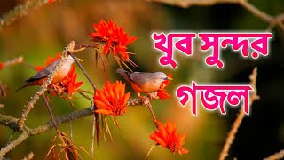 bangla ghazal, ghazal, gazal, gazal song, ghazal ghazal, gazal bangla, new ghazal, bangla new