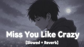 🎧 Miss You Like Crazy (Slowed   Reverb) | Deep Sad Emotional Song | Heartbreak | Audio PM 🎵