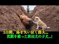 3日間、行方不明になった馬を思い、農夫は涙を流していた―― その時、秋田犬の子犬が突然、吠え始めた。