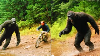 Sasquatch K!lls Cyclists on Appalachian Trail in 2025 | BIGFOOT ENCOUNTER