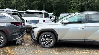 The 2 Grays : Ecotronic vs Shimmering Silver
