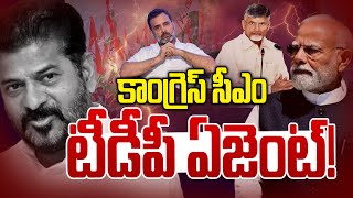 Download Lagu Congress CM TDP Agent!😱😱 | Revanth Sergeant Agent Of TDP..? | Chandra babu | Modi | NLT MP3