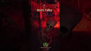 Halloween at Moors Valley #lifeinuk #влог #shorts