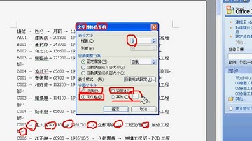 01_用WORD轉換表格與EXCEL資料剖析(吳老師提供)