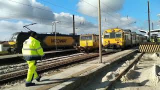 Drasine no Louriçal - 24jan19