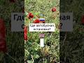Фразы которые нужно каждому учиманглиискии фразынаанглийском язык English Sabr 2025 Shorts Фразы которые нужно каждому учиманглиискии фразынаанглийском язык English Sabr 2025 Shorts