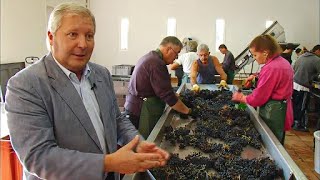 Les Grands Vins Français | Bordeaux : Château Margaux et Mouton Rothschild by Food Story 10,814 views 1 month ago 51 minutes
