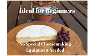 Make Brie at Home for Beginners or Intermediates - NEVER FAILS