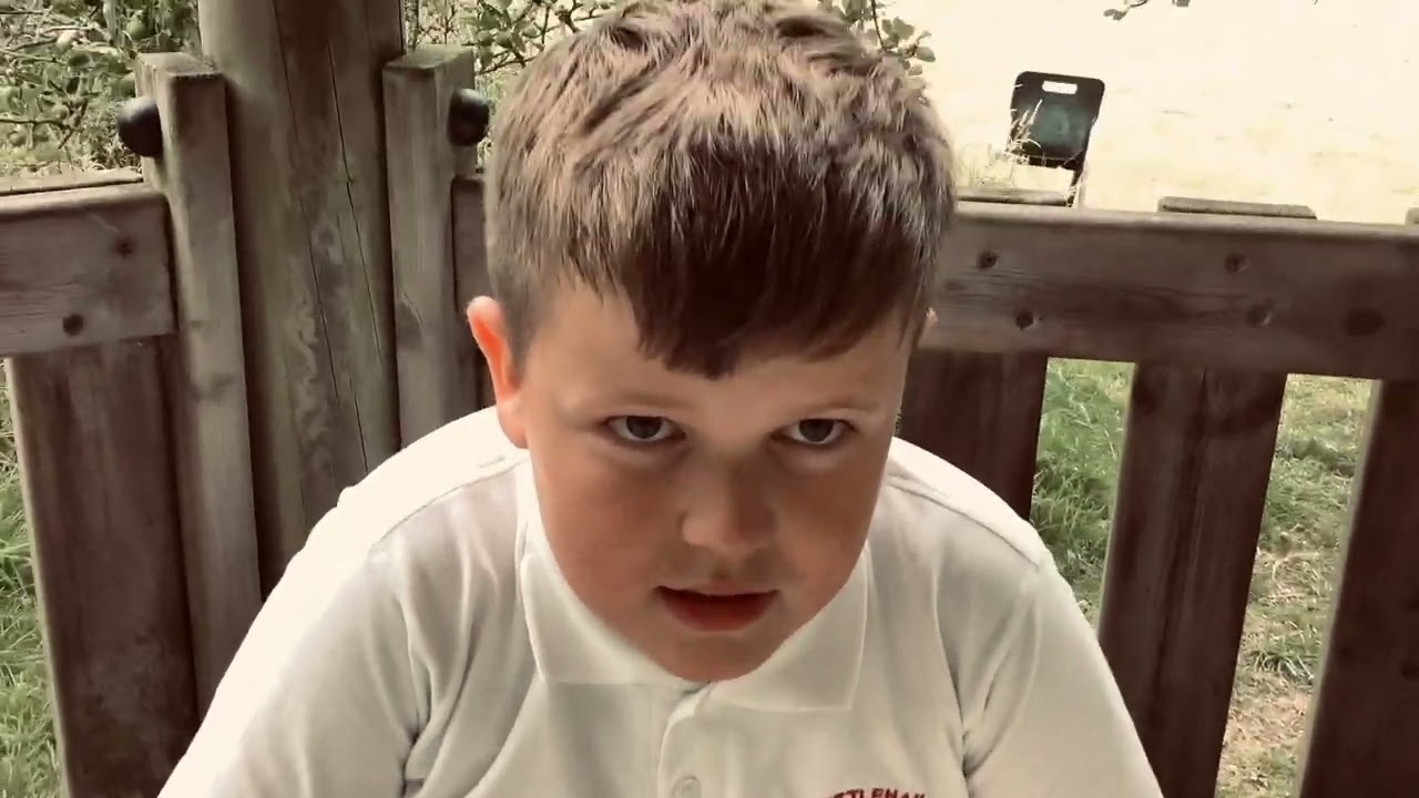 Welcome to School Life