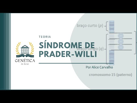 Teoria: Síndrome de Prader-Willi