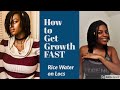 Rice Water on Locs (10 Day Challenge)