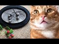 Peaceful ART with cats / Soothing Relaxation / Healing Art Therapy