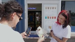 Banana s big break Tucson silkie chicken gets her own Dutch Bros sticker