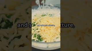 Quick & Easy Crustless Spinach Quiche Recipe! #SpinachQuiche #EasyRecipes