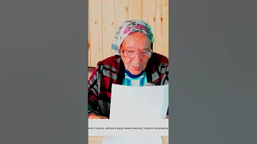 можно посадить в одну линию малину черную смородину крыжовник