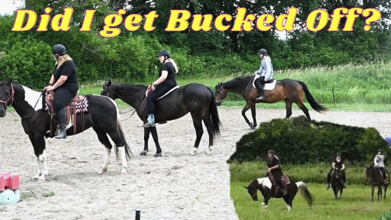 Did She Just Try To Buck Me Off? YouTube