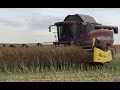 CASE AFX 8010 Combine harvester