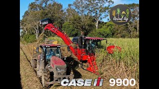 New Case IH 9900 Cane Harvester in Louisiana 4K