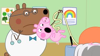 Baby Peppa Born in Hospital | Peppa Pig Funny Animation