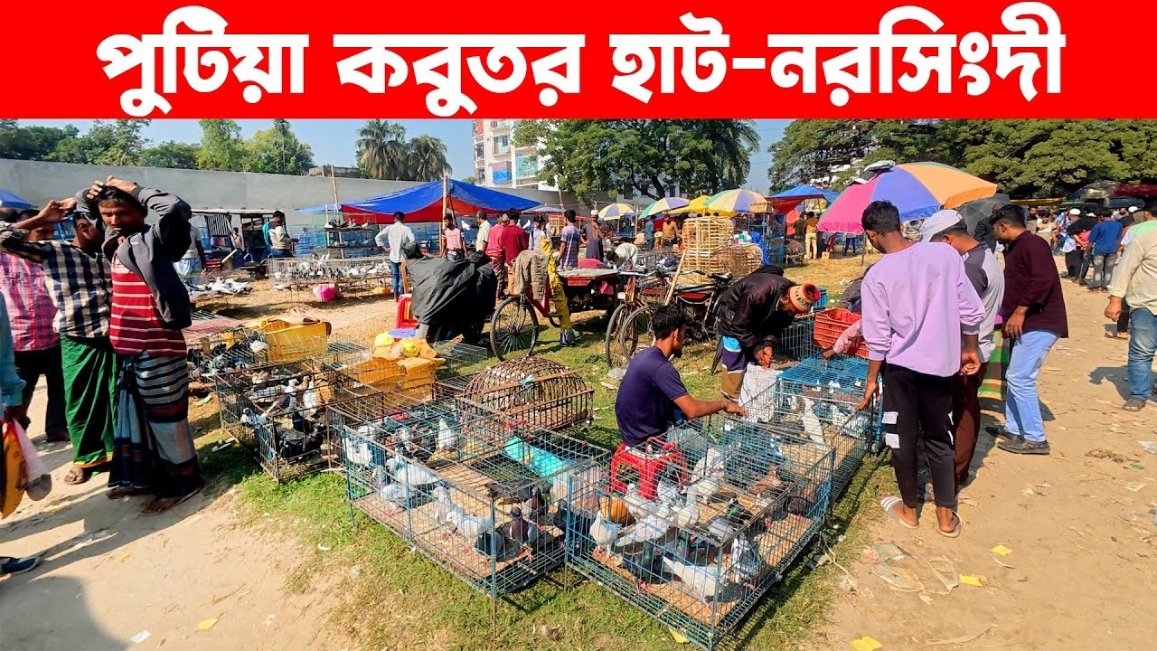 পুটিয়া কবুতর হাট  | Kobutor hat | Pigeon Market in Bangladesh | Putia Bazar Narsingdi