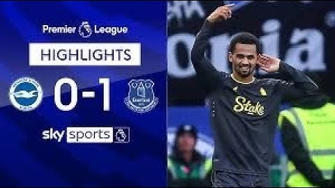 Nail-biting Moments: Brighton 0-1 Everton Premier League Highlights