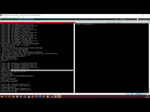 Demo | How to enable the FIPS security standard in the API Gateway