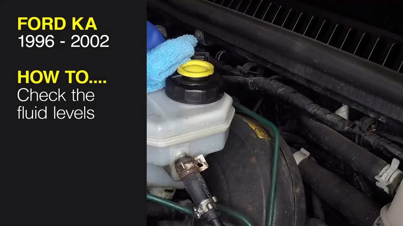 How to Check the fluid levels on a Ford KA 1996 2002 YouTube