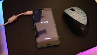 Xperia Z3 and Z2 Marshmallow Stamina Mode Firmware update process how to using Xperia Companion screenshot 5