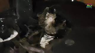 Những giọt nước nhảy múa | Slow motion misting process screenshot 1