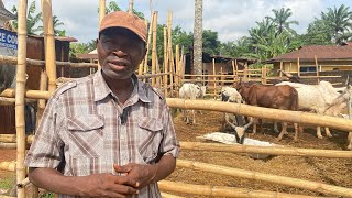 INSPIRING: Man Leaves Germany to Start Cow Business in Anambra State, Overcomes 5 Million Naira Loss